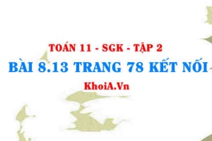 Bài 8.13 trang 78 Toán 11 Kết nối tri thức Tập 2